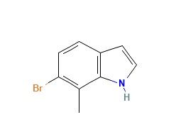 aladdin 阿拉丁 B469990 6-溴-7-甲基吲哚 1000343-89-4 97%