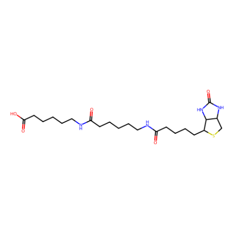 aladdin 阿拉丁 L122219 LC-LC-(+)-生物素 89889-51-0 98%