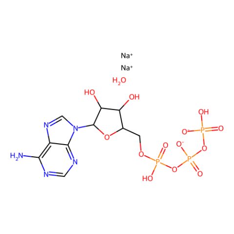 aladdin 阿拉丁 A100885 腺苷-5′-三磷酸 二钠盐 水合物 34369-07-8 99%,用于细胞培养