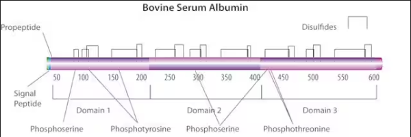 aladdin 阿拉丁 A104912 牛血清白蛋白，组分 V 9048-46-8 分子生物学级