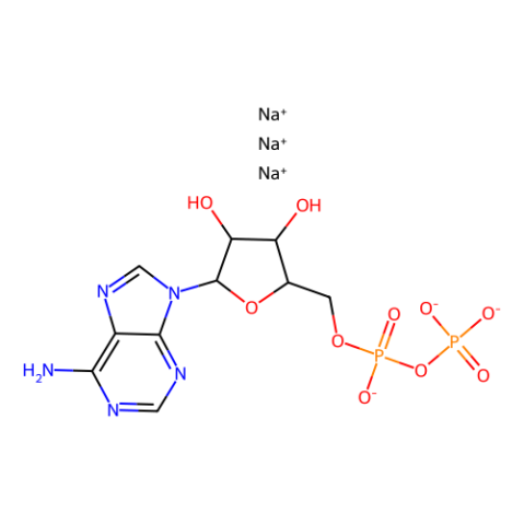 aladdin 阿拉丁 A422480 腺苷-5′-二磷酸 钠盐 20398-34-9 10mM in Water