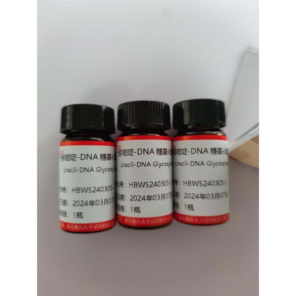 魏氏试剂  尿嘧啶-DNA 糖基化酶