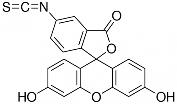 aladdin 阿拉丁 F299199 异硫氰酸荧光素 27072-45-3 90%,5-和6-异构体混合物
