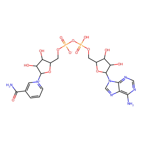 aladdin 阿拉丁 N111610 β-烟酰胺腺嘌呤二核苷酸（NAD） 53-84-9 >98.0%（HPLC)
