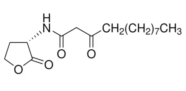 aladdin 阿拉丁 N478346 N-(3-氧代十二烷酰基)-L-高丝氨酸内酯 168982-69-2 97%