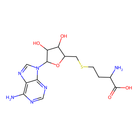 aladdin 阿拉丁 S427199 S-(5’-腺苷)-L-高半胱氨酸 979-92-0 10mM in DMSO