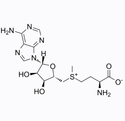 aladdin 阿拉丁 S580508 S-腺苷蛋氨酸 29908-03-0 10mM in DMSO