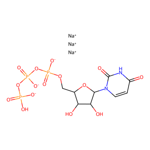 aladdin 阿拉丁 U406318 尿苷-5′-三磷酸酯 三钠盐 水合物 19817-92-6 95%