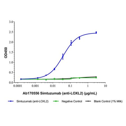 aladdin 阿拉丁 Ab170556 Simtuzumab (anti-LOXL2) 1318075-13-6 Purity>95% (SDS-PAGE&SEC);  Endotoxin Level<1.0EU/mg;  Human IgG4SP;  CHO;  ELISA, FACS, Functional assay, Animal Model;  Unconjugated