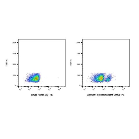 aladdin 阿拉丁 Ab170564 Selicrelumab (anti-CD40) 1622140-49-1 Purity>95% (SDS-PAGE&SEC); Endotoxin Level<1.0EU/mg; Human IgG2; CHO; ELISA, FACS, Functional assay, Animal Model; Unconjugated