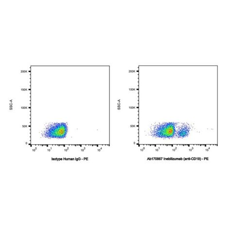 aladdin 阿拉丁 Ab170867 Inebilizumab (anti-CD19) 1299440-37-1 Purity>95% (SDS-PAGE&SEC); Endotoxin Level<1.0EU/mg; Human IgG1; CHO; ELISA, FACS, Functional assay, Animal Model; Unconjugated