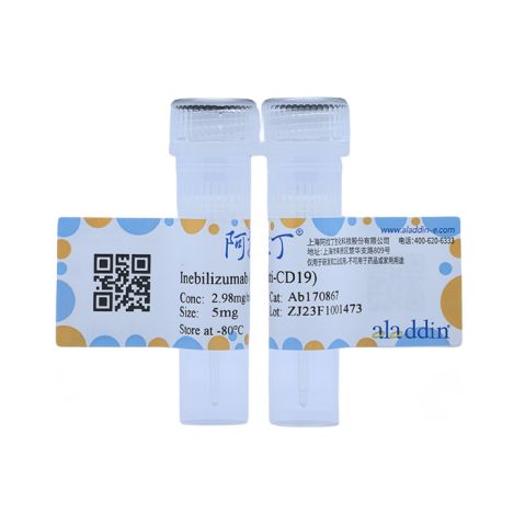 aladdin 阿拉丁 Ab170867 Inebilizumab (anti-CD19) 1299440-37-1 Purity>95% (SDS-PAGE&SEC); Endotoxin Level<1.0EU/mg; Human IgG1; CHO; ELISA, FACS, Functional assay, Animal Model; Unconjugated