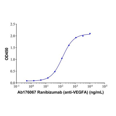 aladdin 阿拉丁 Ab176067 Ranibizumab (anti-VEGFA) 347396-82-1 Purity>95% (SDS-PAGE&SEC); Endotoxin Level<1.0EU/mg; Human IgG1-CH1; CHO; ELISA, FACS, Functional assay, Animal Model; Unconjugated