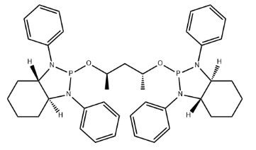 aladdin 阿拉丁 A587119 (3AS,3A'S,7AS,7A'S)-2,2'-((2R,4 R)-戊烷-2,4-二酰基)双(氧)-二(1,3-二苯氧基-1H-苯并[D][1,3,2]二氮杂磷酸盐 1384535-76-5 98%