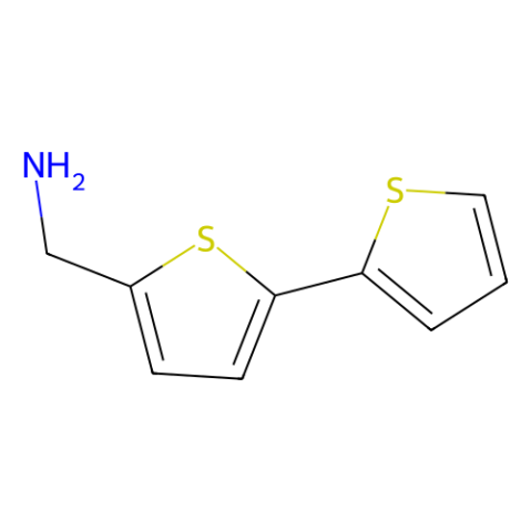 aladdin 阿拉丁 B301242 2,2'-联噻吩-5-甲胺 4380-96-5 ≥95%