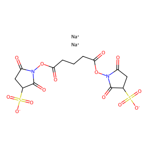 aladdin 阿拉丁 B405349 戊二酸双(3-磺酸基-N-琥珀酰亚胺)酯二钠盐 881415-72-1 >95.0%(N)