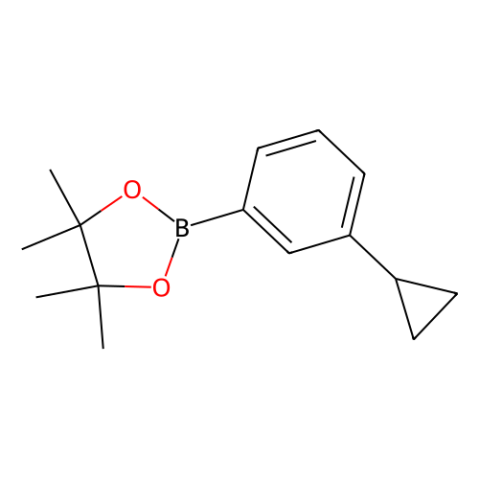 aladdin 阿拉丁 C589710 3-环丙基苯硼酸频哪醇酯 627526-56-1 95%