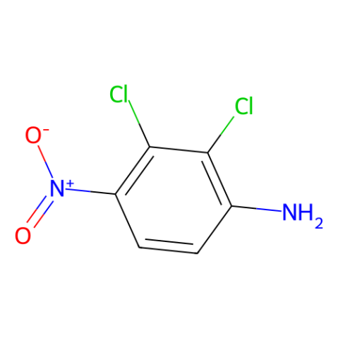 aladdin 阿拉丁 D589935 2,3-二氯-4-硝基苯胺 69951-03-7 95%