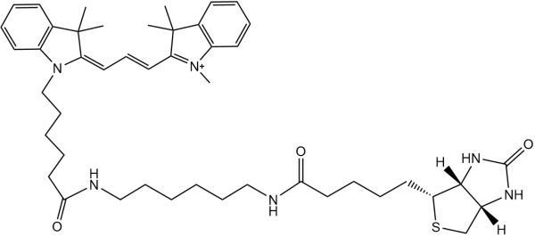 aladdin 阿拉丁 B293199 Cy3标记生物素 ≥95.0%