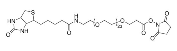 aladdin 阿拉丁 N487848 NHS-dPEG24-biotin 90%