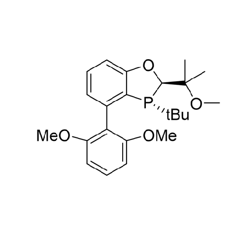 aladdin 阿拉丁 R419610 (2R,3R)-3-(叔丁基)-4-(2,6-二甲氧基苯基)-2-(2-甲氧基丙烷-2-基)-2,3-二氢苯并[d][1,3]氧膦杂环 97%，99% ee