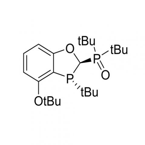 aladdin 阿拉丁 R419666 ((2R,3R)-4-(叔丁氧基)-3-(叔丁基)-2,3-二氢苯并[d][1,3]氧膦杂环-2-基)二叔丁基氧化膦 97%，99% ee