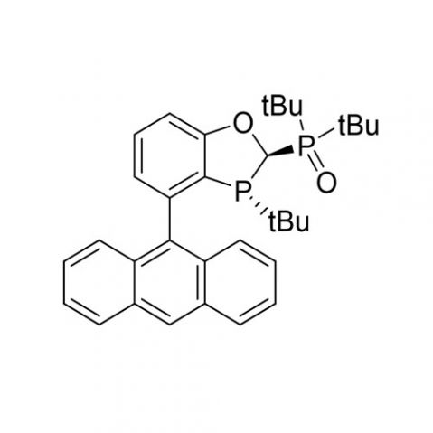 aladdin 阿拉丁 R419757 ((2R,3R)-4-(9-蒽基)-3-(叔丁基)-2,3-二氢苯并[d][1,3]氧膦杂环-2-基)二叔丁基氧化膦 97%，99% ee
