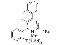 aladdin 阿拉丁 S399111 [S(R)]-N-[(S)-[2-(二金刚烷基膦)苯基](2-萘基)甲基]-N-甲基-2-叔丁基亚磺酰胺 ≥95%