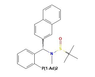 aladdin 阿拉丁 S399111 [S(R)]-N-[(S)-[2-(二金刚烷基膦)苯基](2-萘基)甲基]-N-甲基-2-叔丁基亚磺酰胺 ≥95%