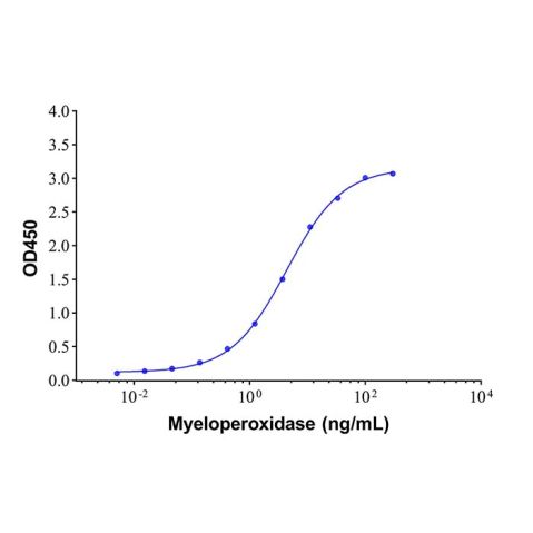 aladdin 阿拉丁 Ab005455 Myeloperoxidase Mouse mAb mAb(4C16-1); Mouse anti Human Myeloperoxidase Antibody; Capture Antibody, ELISA, CLIA, LF, GICA, FIA, LETIA; Unconjugated