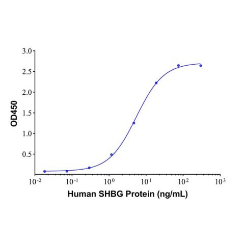 aladdin 阿拉丁 Ab005506 SHBG Mouse mAb mAb(3D8-2); Mouse anti Human SHBG Antibody; Detection Antibody, ELISA, CLIA, LF, GICA, FIA; Unconjugated