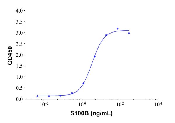 aladdin 阿拉丁 Ab008408 S100B Mouse mAb mAb(5H2-3); Mouse anti Human S100B Antibody; Detection or Capture Antibody, ELISA, CLIA, LF, GICA, FIA; Unconjugated