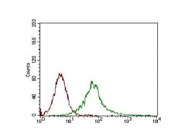 aladdin 阿拉丁 Ab092652 CaMKII Mouse mAb mAb (8G10C1); Mouse anti Human/Rat CaMKII Antibody; WB, IHC, Flow, ELISA; Unconjugated