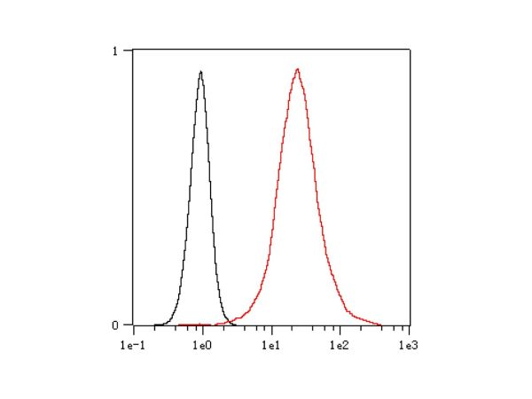 aladdin 阿拉丁 Ab098863 Recombinant Cytokeratin 18 Antibody Recombinant (RR693); Rabbit anti Human Cytokeratin 18 Antibody; WB, IHC, Flow, IF/ICC, IP; Unconjugated