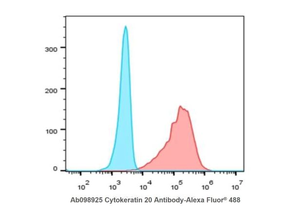 aladdin 阿拉丁 Ab098925 Recombinant Cytokeratin 20 Antibody Recombinant (RR648); Rabbit anti Human Cytokeratin 20 Antibody; WB, IHC, ICC, IF, Flow, IP; Unconjugated