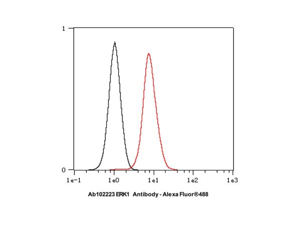 aladdin 阿拉丁 Ab102223 Recombinant ERK1 Antibody Recombinant (RR671); Rabbit anti Human ERK1 Antibody; WB, IHC, Flow, IF/ICC, IP; Unconjugated