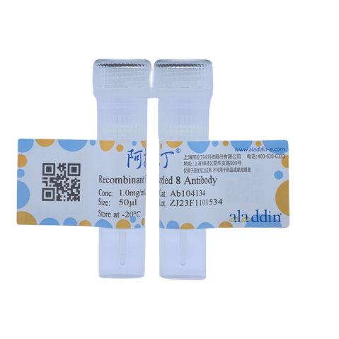 aladdin 阿拉丁 Ab104134 Recombinant Frizzled 8 Antibody Recombinant (R09-1M9); Rabbit anti Human Frizzled 8 Antibody; WB; Unconjugated