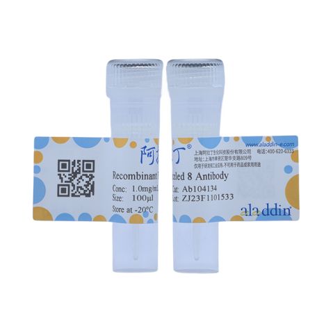 aladdin 阿拉丁 Ab104134 Recombinant Frizzled 8 Antibody Recombinant (R09-1M9); Rabbit anti Human Frizzled 8 Antibody; WB; Unconjugated