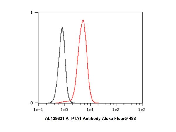 aladdin 阿拉丁 Ab128631 Recombinant ATP1A1 Antibody Recombinant (RR685); Rabbit anti Human ATP1A1 Antibody; WB, IHC, Flow, IP; Unconjugated