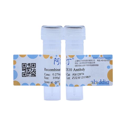 aladdin 阿拉丁 Ab128734 Recombinant SOX10 Antibody Recombinant (RR643); Rabbit anti Human SOX10 Antibody; WB, IHC, Flow, IF/ICC, IP; Unconjugated