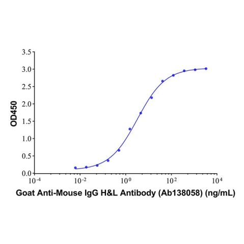 aladdin 阿拉丁 Ab138058 Goat Anti-Mouse IgG H&L Antibody  pAb; Goat Anti-Mouse IgG H&L Antibody; WB, CLIA, LF, GICA, EIA; Unconjugated