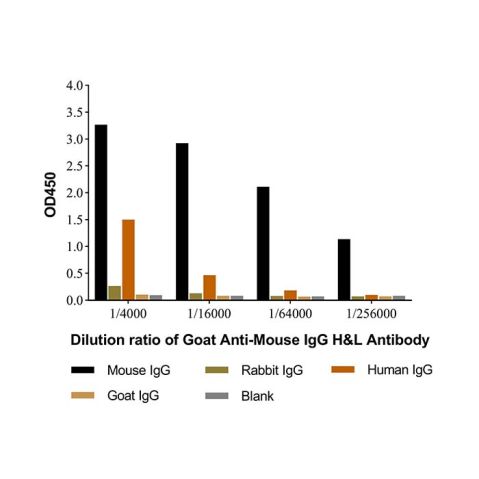 aladdin 阿拉丁 Ab138058 Goat Anti-Mouse IgG H&L Antibody  pAb; Goat Anti-Mouse IgG H&L Antibody; WB, CLIA, LF, GICA, EIA; Unconjugated