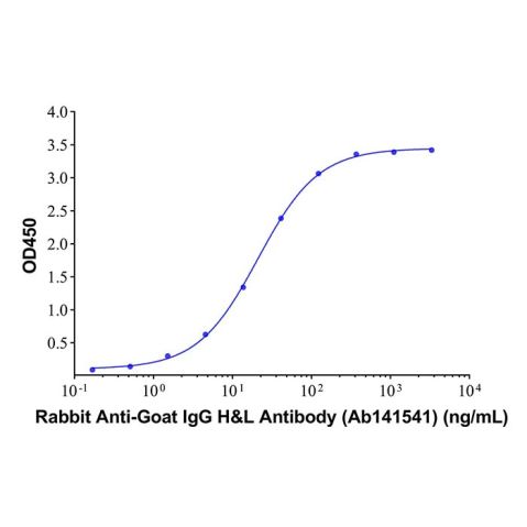 aladdin 阿拉丁 Ab141541 Rabbit Anti-Goat IgG H&L Antibody Secondary Antibody; Rabbit Anti-Goat IgG H&L Antibody; WB, CLIA, LF, GICA, EIA; Unconjugated