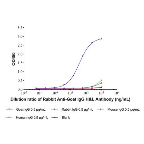 aladdin 阿拉丁 Ab141541 Rabbit Anti-Goat IgG H&L Antibody Secondary Antibody; Rabbit Anti-Goat IgG H&L Antibody; WB, CLIA, LF, GICA, EIA; Unconjugated