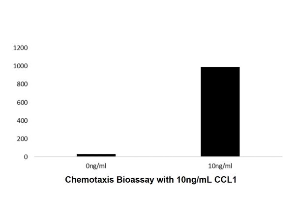 aladdin 阿拉丁 rp143723 Recombinant Human CCL1 Protein Animal Free, >97%(SDS-PAGE and HPLC), Active, E.coli, No tag, 23-96 aa