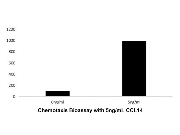 aladdin 阿拉丁 rp143727 Recombinant Human CCL14 Protein Animal Free, >96%(SDS-PAGE and HPLC), Active, E.coli, No tag, 22-93 aa