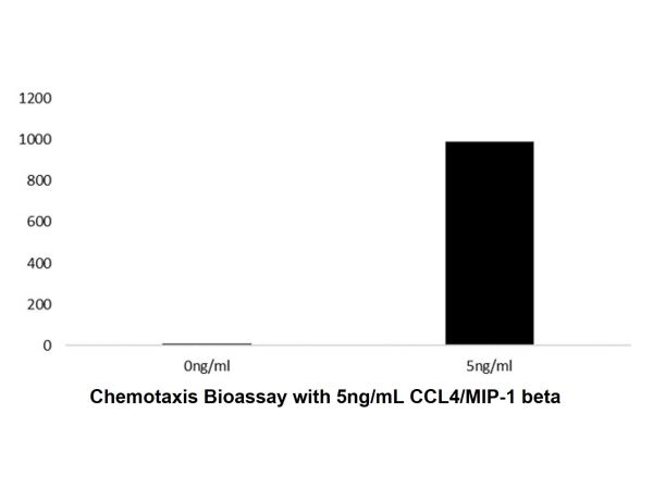 aladdin 阿拉丁 rp143746 Recombinant Human CCL4/MIP-1 beta Protein Animal Free, >96%(SDS-PAGE, HPLC), Active, E.coli, No tag, 24-92 aa