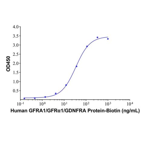 aladdin 阿拉丁 rp146397 Recombinant Human GDNF Protein Animal Free, ≥97% (SDS-PAGE), Active, HEK293, No tag, 83-185 aa