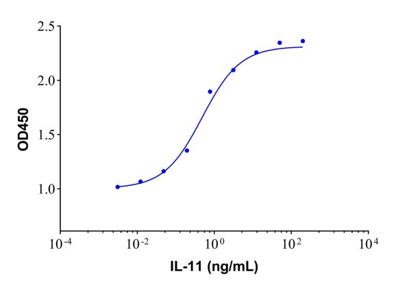 aladdin 阿拉丁 rp147371 Recombinant Human IL-11 Protein Animal Free, >96% (SDS-PAGE,HPLC), Active, E. coli, No tag, 22-199 aa