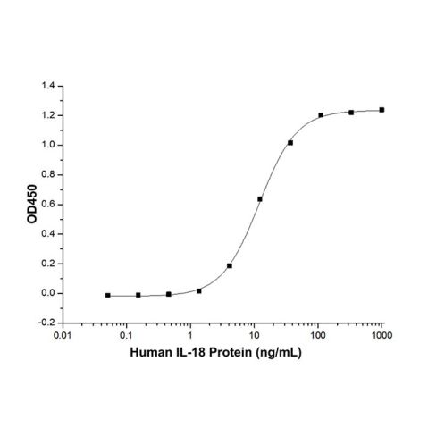 aladdin 阿拉丁 rp147444 Recombinant Human IL-18 Protein Animal Free, >95% (SDS-PAGE&SEC-HPLC), Active, E.coli, No tag, 37-193 aa